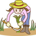草刈りで使える道具は100均にもある？使い方はアイディア次第！