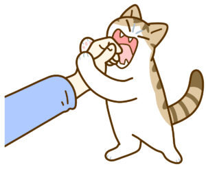 猫がゴロゴロして噛むのはなぜ？噛み癖対策を徹底解説！