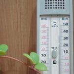 猫にとっての適温は？季節ごとの室温管理やエアコンの使い方を解説！